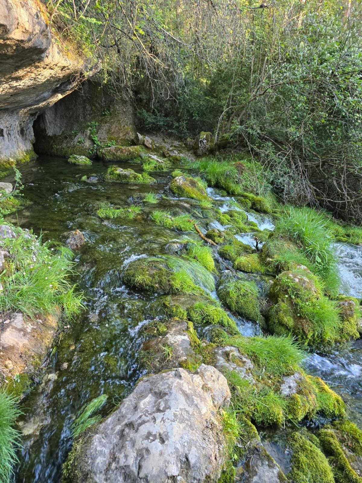 Hostal Rural Alto Tajo Poveda Poveda de la Sierra Bagian luar foto